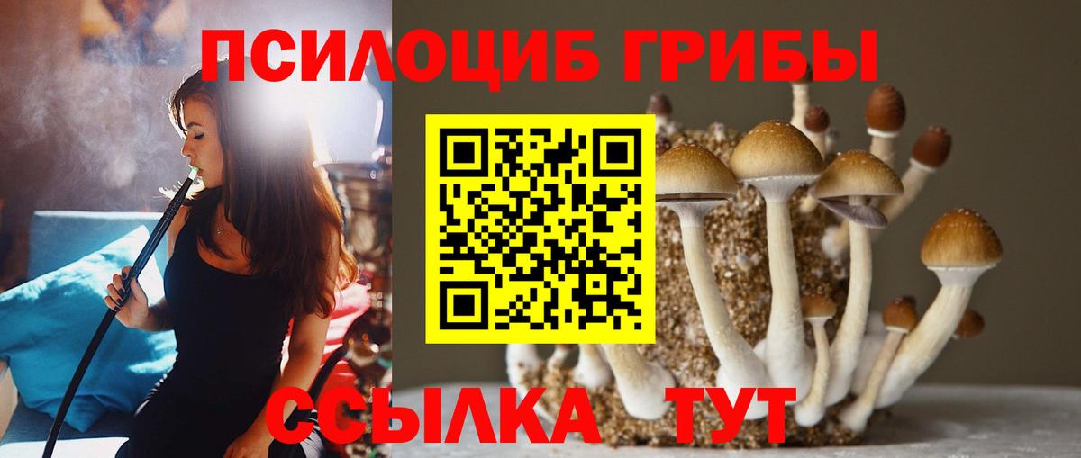 Псилоцибиновые грибы мицелий Асбест